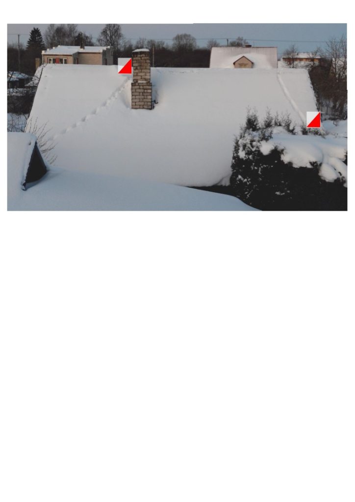 Vai kaķi orientējas...?